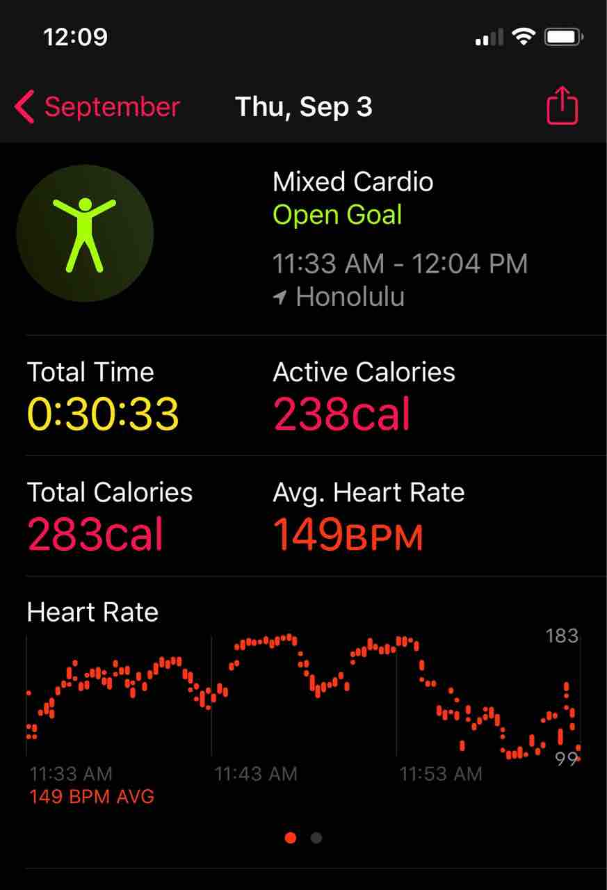 Hiitワークアウトと アサイーボウルのお昼ごはん ハワイネコ ブログ