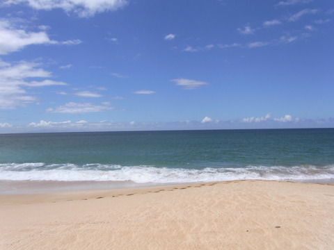 478a1705.jpg