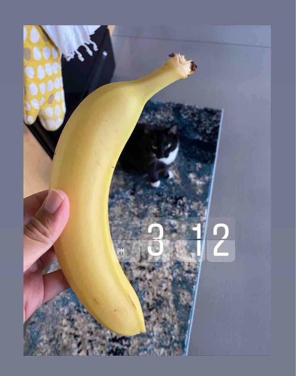 ダイエット35日目 胃の悲鳴に耳を傾けよう 1594kcal ハワイネコ ブログ