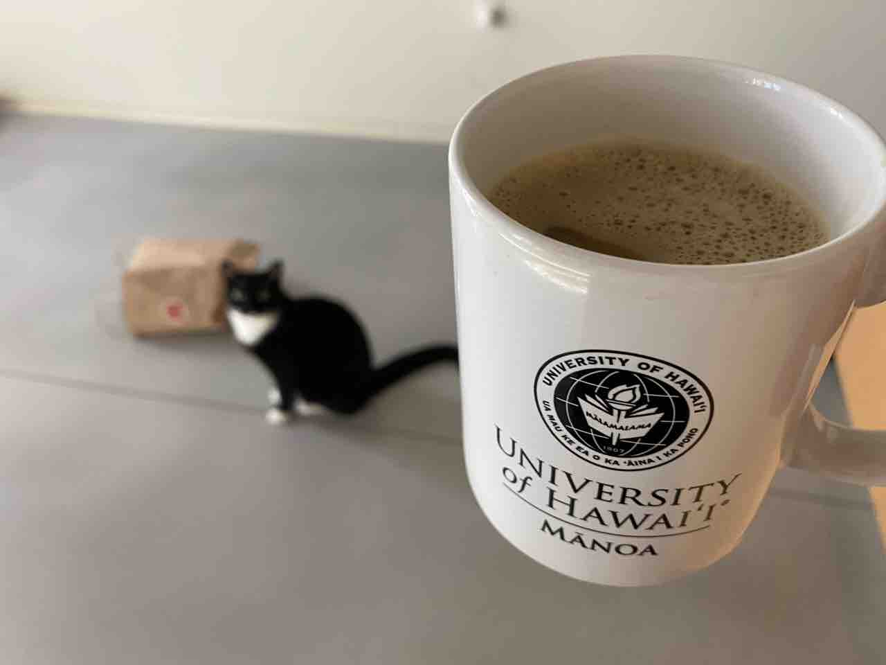 バターコーヒー 抹茶ラテ ミルクと猫たち ハワイネコ ブログ バターコーヒー 抹茶ラテ ミルクと猫たち ハワイネコ ブログ