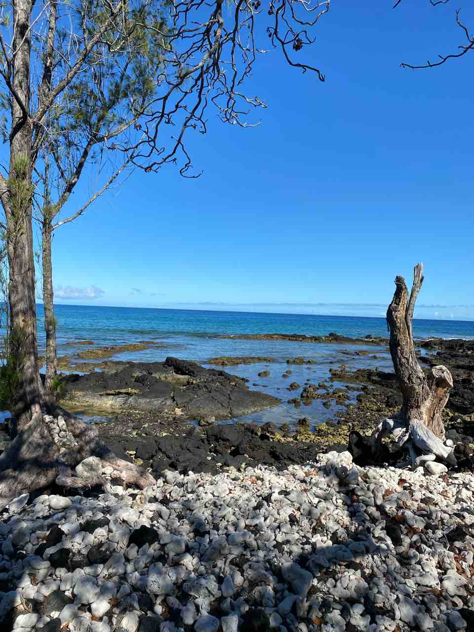 ワイコロア マリオットからヒルトンまで海岸沿いを歩いてみたら ハワイ島 ハワイネコ ブログ