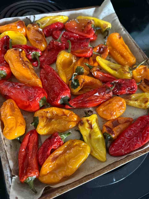 【ダイエット？なご飯日記】アイス食べすぎる・キャンディーメロン・ミニベルペッパー【1900kcal】