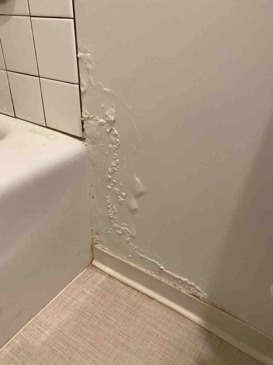 欠陥住宅 大家との闘いその２ ほらね 水漏れ発見 ハワイネコ ブログ