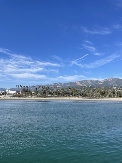 IMG_8514