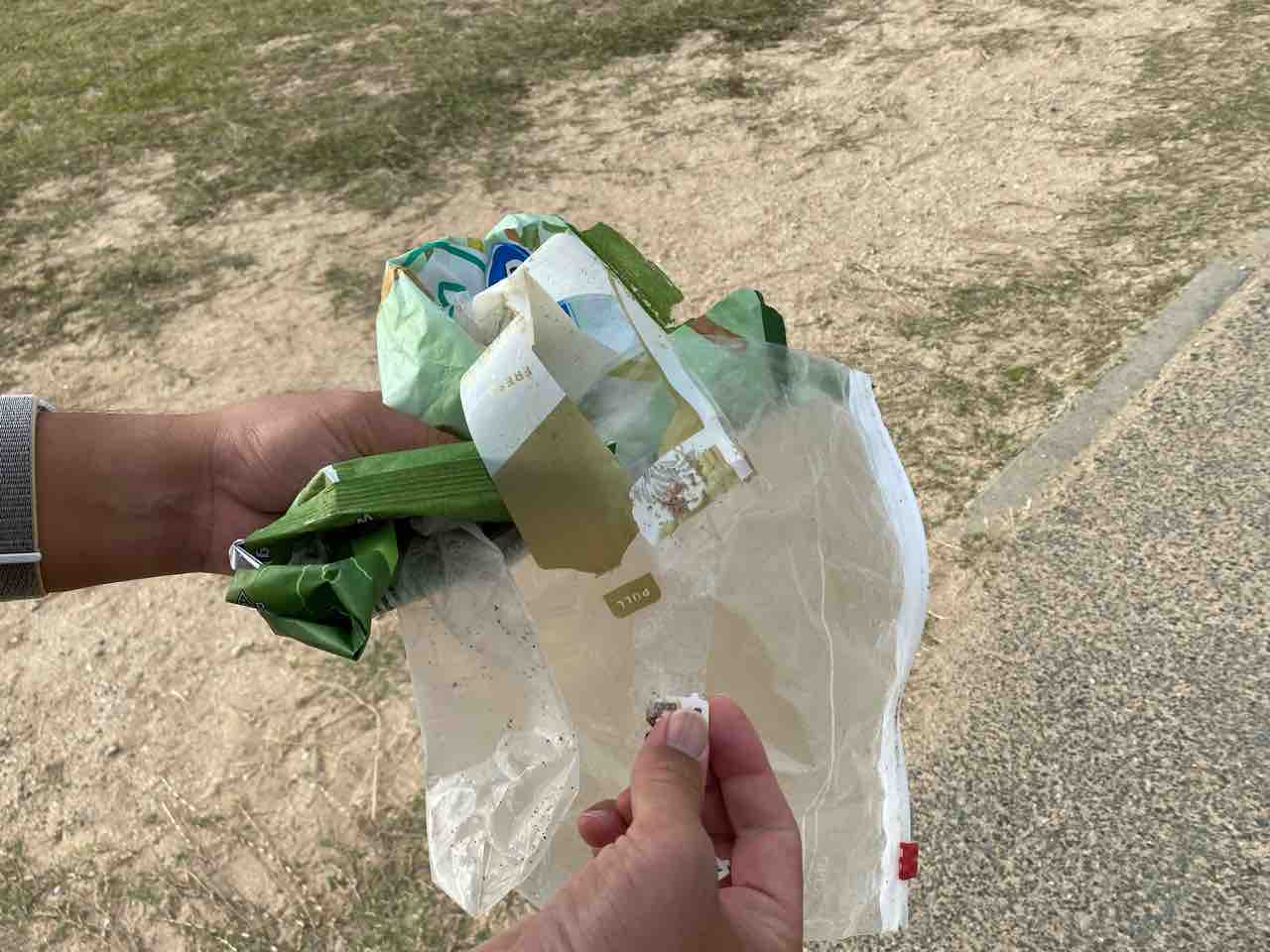 アラモアナビーチパークのマジックアイランドが椰子の木だらけに ハワイネコ ブログ アラモアナビーチパークのマジックアイランドが椰子の木だらけに ハワイネコ ブログ
