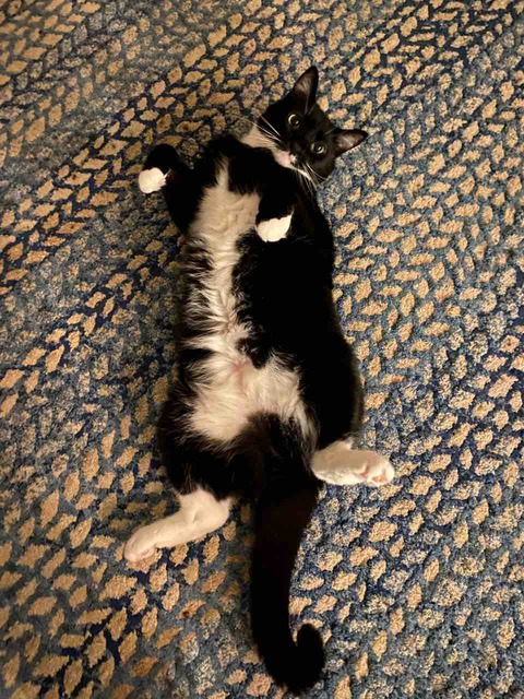 F7312E0F-7BD9-4B24-9E10-3723594E0CF8