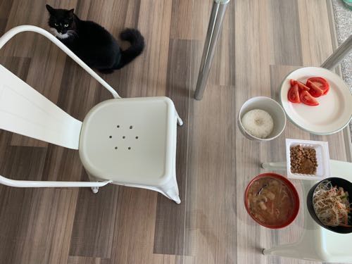 ポップコーン食べ過ぎ ゴディバ ドンキ ポケ ごはん日記 ハワイネコ ブログ ポップコーン食べ過ぎ ゴディバ ドンキ ポケ ごはん日記 ハワイネコ ブログ