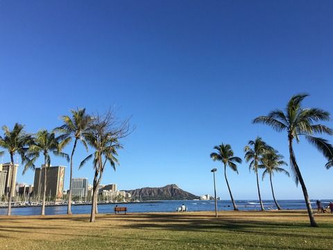 20160210_030034197_iOS