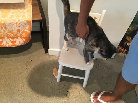 2016-08-20-09-36-59