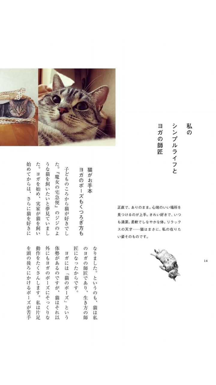 ヨガとシンプルライフ 本 ハワイネコ ブログ