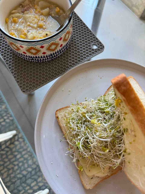 【ご飯日記】プランターがジャングル・肉ゴロゴロミートソース・猫様と箱