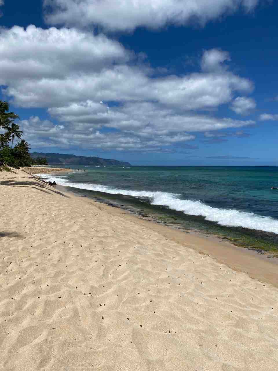 ラニアケアビーチの西側 ノースショアの亀ビーチのすぐ横は実は素敵な砂浜 オアフ島 ハワイネコ ブログ ラニアケアビーチの西側 ノースショアの亀ビーチのすぐ横は実は素敵な砂浜 オアフ島 ハワイネコ ブログ