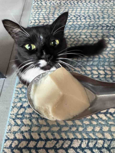 【ご飯日記】パンは蒸すとモチフワ・モンテールの原材料リストやばすぎ