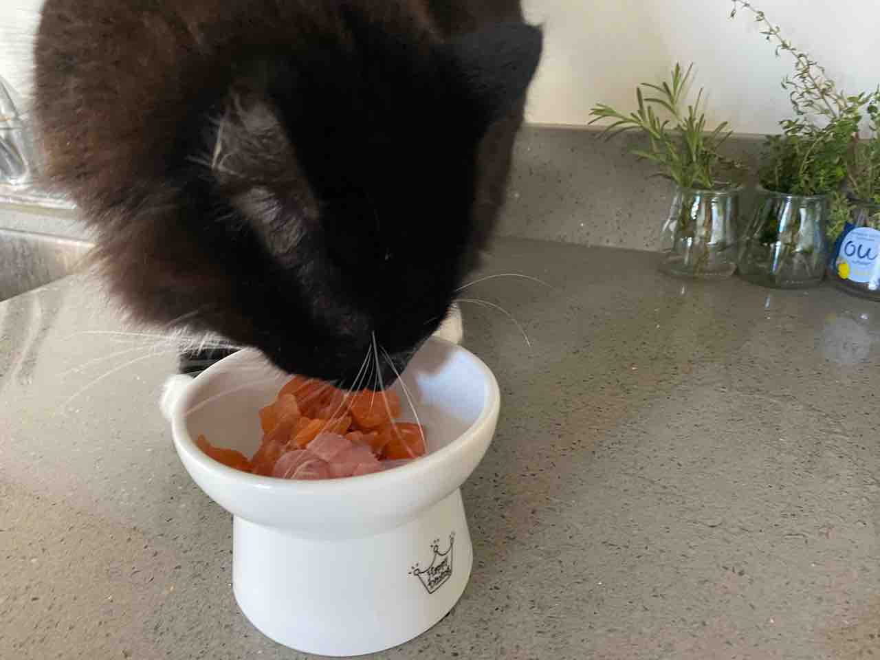 マグロのトロと サーモンで手巻き寿司ディナー ハワイネコ ブログ