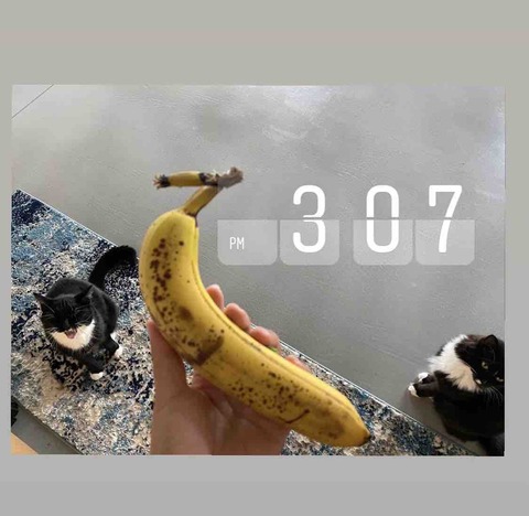 FullSizeRender