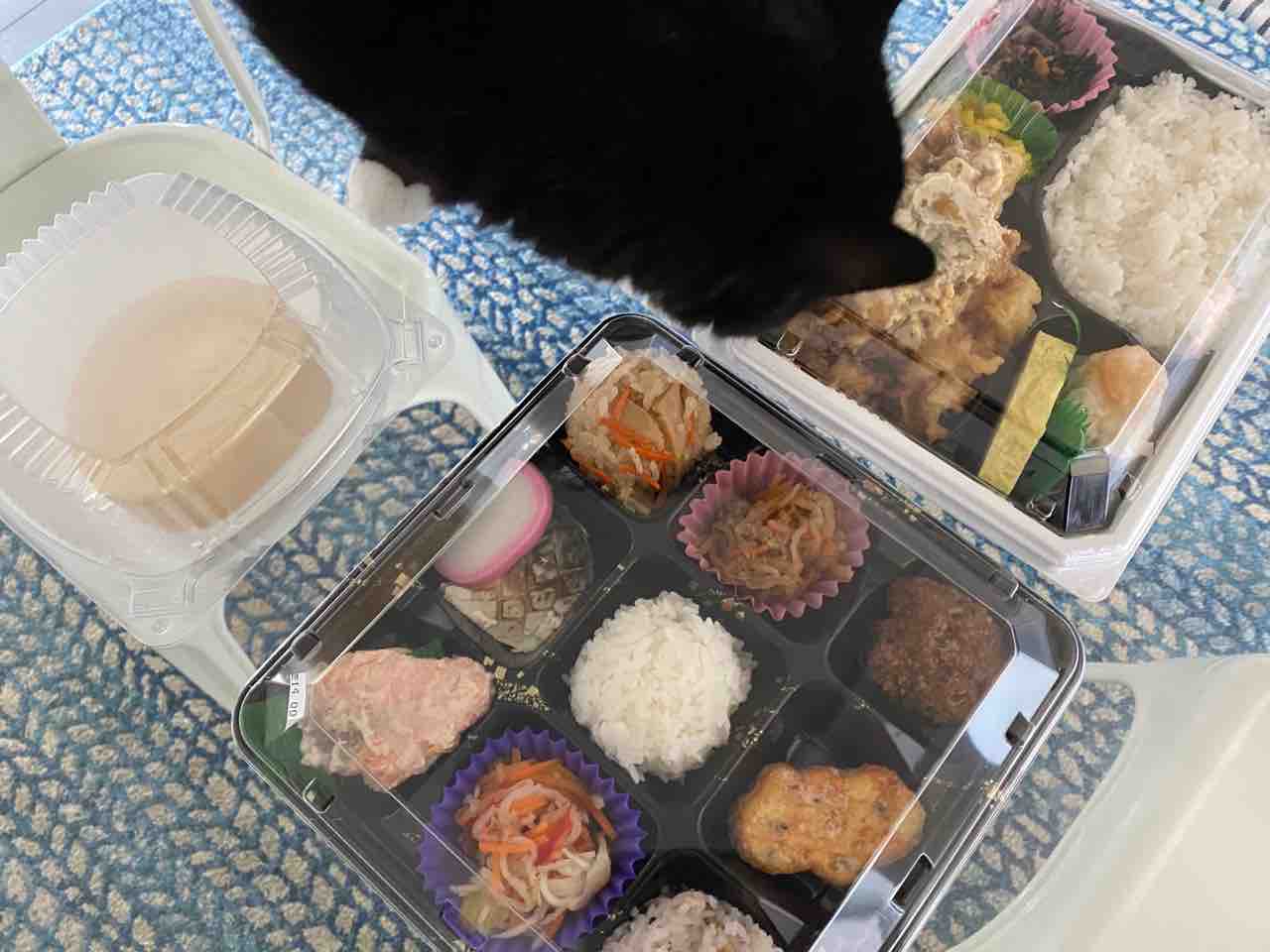 カカアコの和食レストラン凛花 Rinka 訪問記録まとめ 年 ハワイグルメ ハワイネコ ブログ