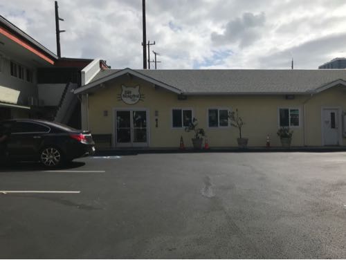 たまさん呼吸困難になって死にかけた ハワイの救急動物病院 ハワイネコ ブログ