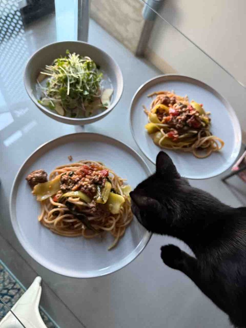 【ご飯&猫日記】糠漬けランチ・猫様と向き合う時間