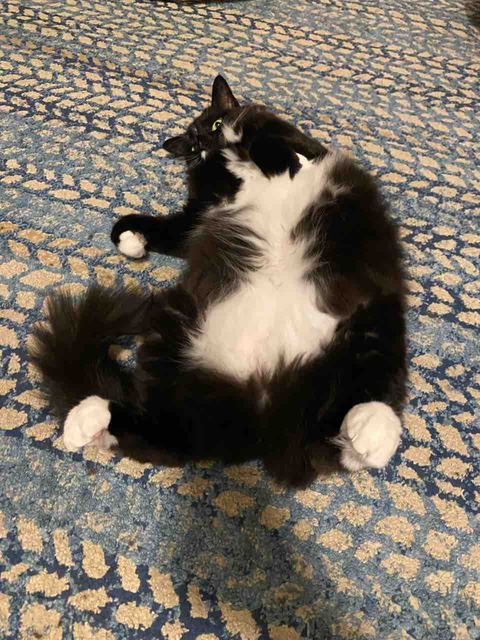 DE4A3F23-55DB-43EE-A6C4-63B4974CF4C4