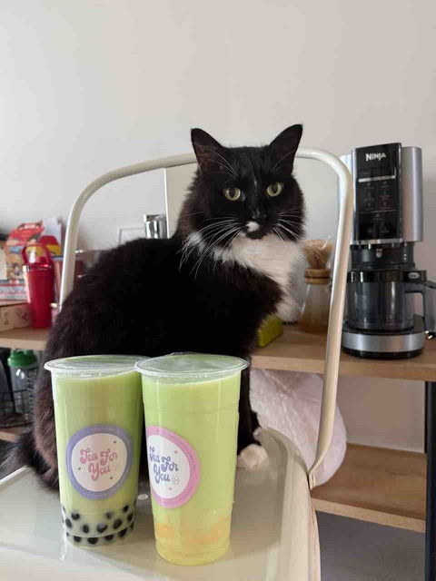 【ダイエットご飯日記】VOG🌋・エアフライドライス・タピオカ🧋【1500kcal】