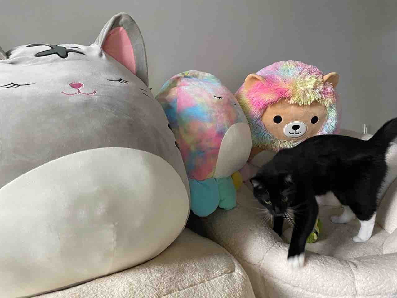 猫とジャンボなスクイッシュマロ（ぬいぐるみクッション