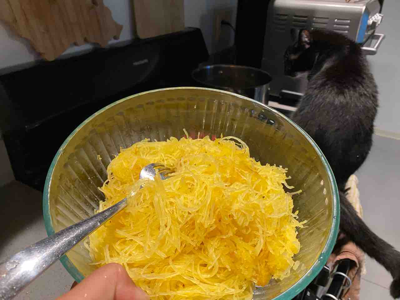 初めてのスパゲティスクアッシュ 金糸瓜 そうめん瓜 トライ エラー ハワイネコ ブログ