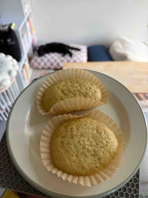 【ダイエットご飯日記】ニジマス・簡単ヘルシーダイエット蒸しパン・のんびり日曜日
