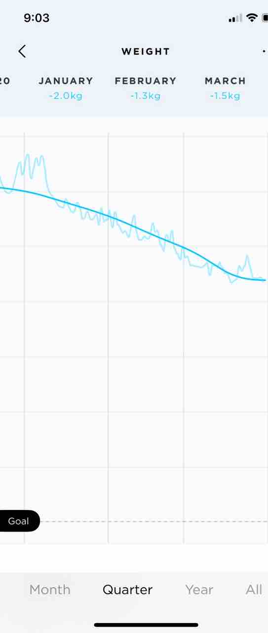 21年3月のダイエット結果まとめ 地道に痩せてる ハワイネコ ブログ 21年3月のダイエット結果まとめ 地道に痩せてる ハワイネコ ブログ