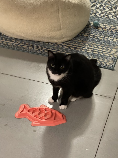 69831407774__E190B2F4-F4F0-4B36-8A36-1D70F9B91375