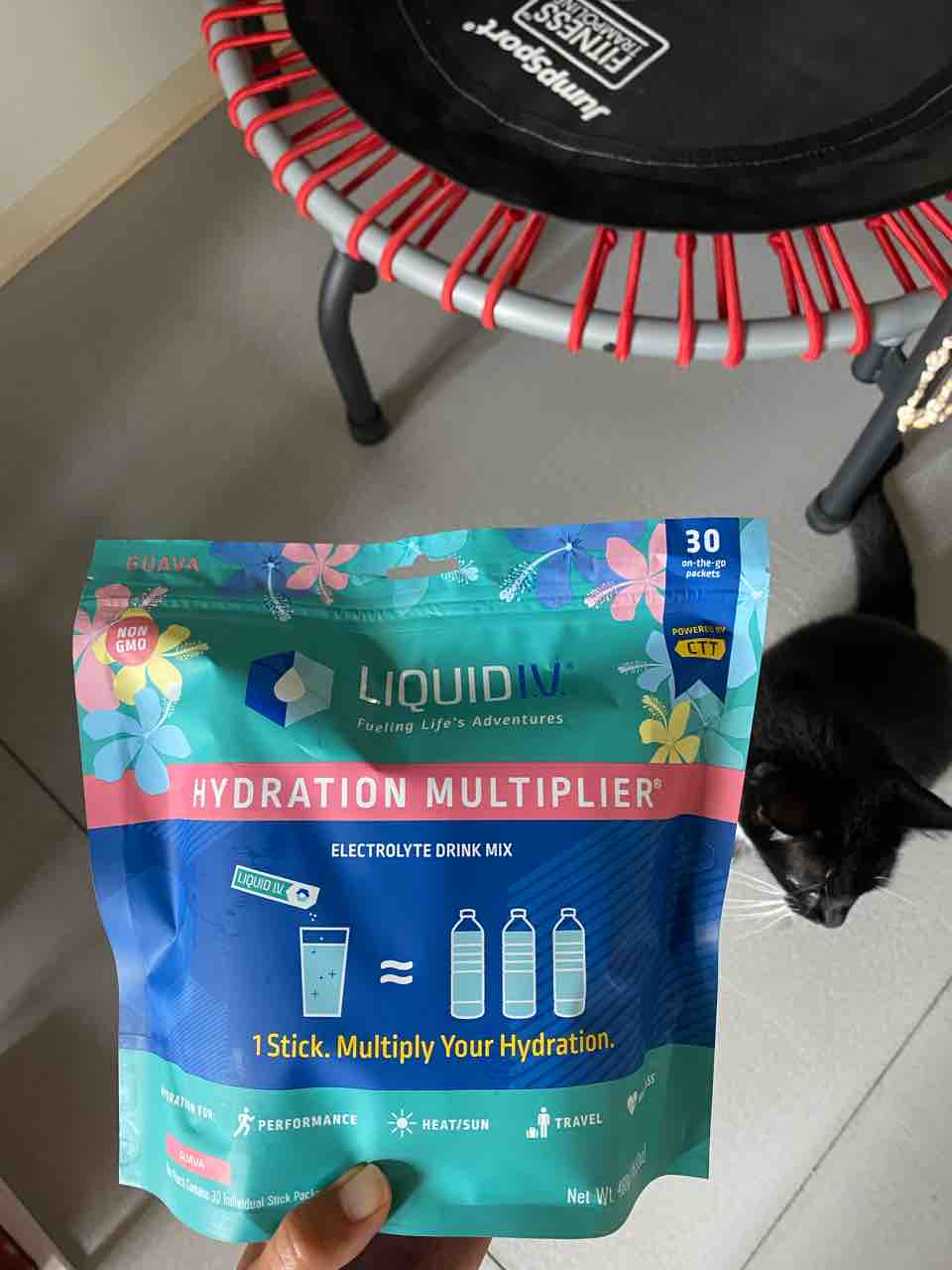 1800kcal スモークサーモン グアバの飲み物 ディムサム 8 26ご飯日記 ハワイネコ ブログ