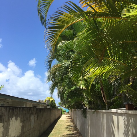 2015-08-02-08-48-48