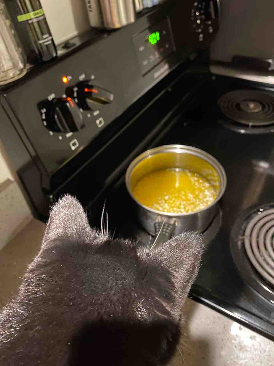 初めてのギー作り 溶かしバターだと侮っててゴメン ハワイネコ ブログ