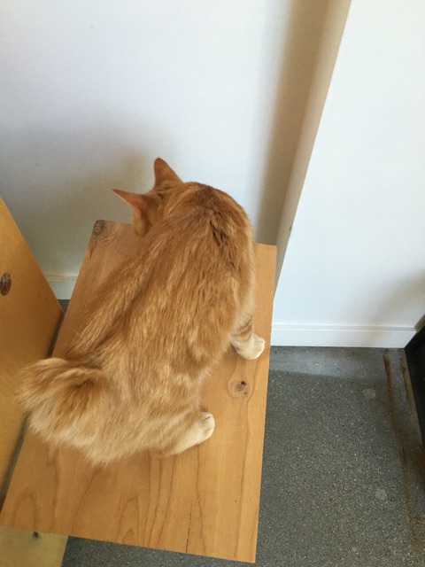 2016-08-20-09-33-57