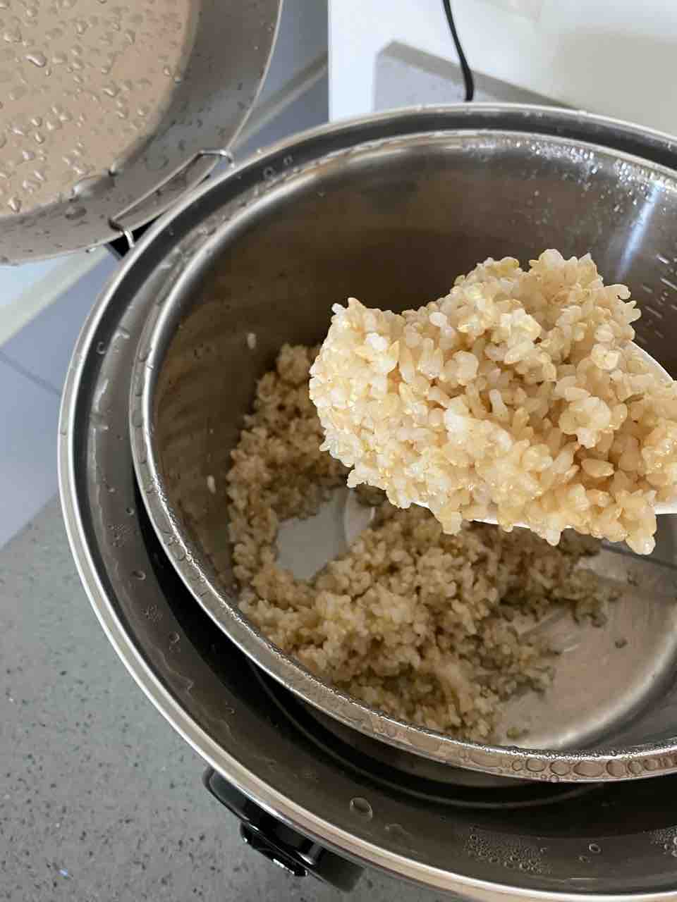 大同電鍋 米の炊き方 玄米 白米 炊き込みご飯 ハワイネコ ブログ 大同電鍋 米の炊き方 玄米 白米 炊き込みご飯 ハワイネコ ブログ
