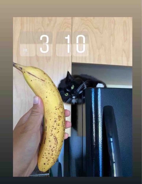 FullSizeRender