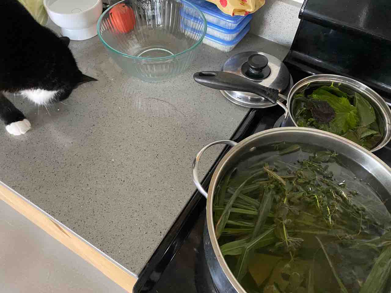 青紫蘇 大葉 ジュースと 青紫蘇ふりかけの作り方 ハワイネコ ブログ