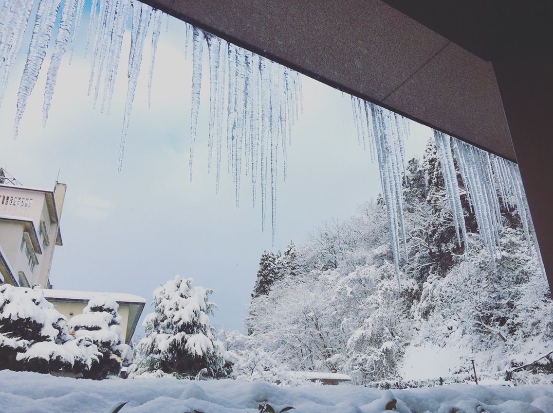 安くて綺麗 サービスも良し 永芳閣 富山 氷見の温泉旅館 ハワイネコ ブログ 安くて綺麗 サービスも良し 永芳閣 富山 氷見の温泉旅館 ハワイネコ ブログ