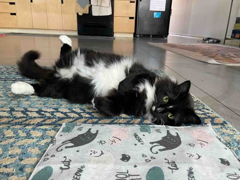 D97621C3-39A9-44B4-AA37-FE3AEE35C938