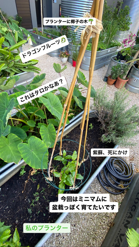 139B0795-0DFA-4716-84B0-4300AB863676