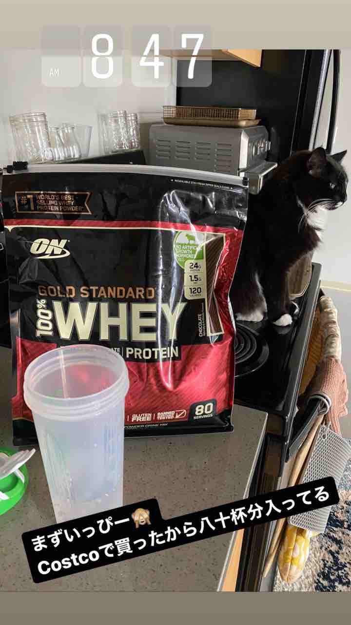 1500kcal 草の味グリーンスムージー 干し鱈 キングサーモン ごはん日記 ハワイネコ ブログ