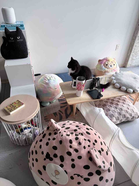 【ご飯日記】ずっと腹ペコ・ビーチな日曜日・模様替えして猫様スペース