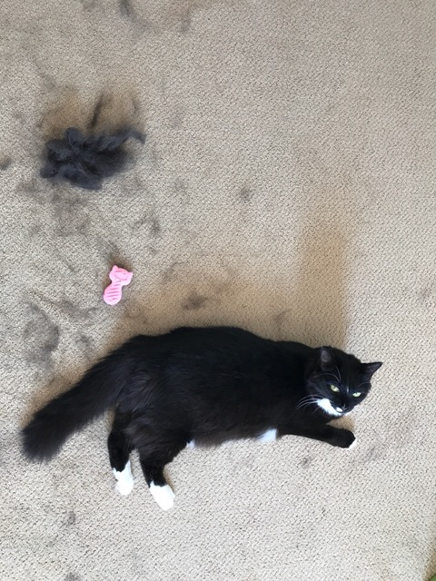 2017-09-14-05-43-48