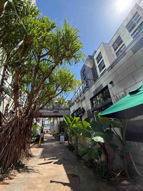 【ダイエットご飯日記】7キロ減・ロティサリーチキン・アメリカスタバの桜タンブラー