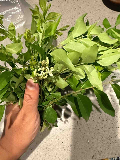 【ご飯日記】イライラには牛が良いらしい・お初のカレーリーフ🌱