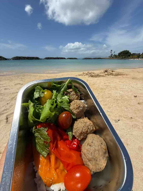 【ダイエットご飯日記】アイスにどハマり・チキンとマカロニチーズ【1730kcal】