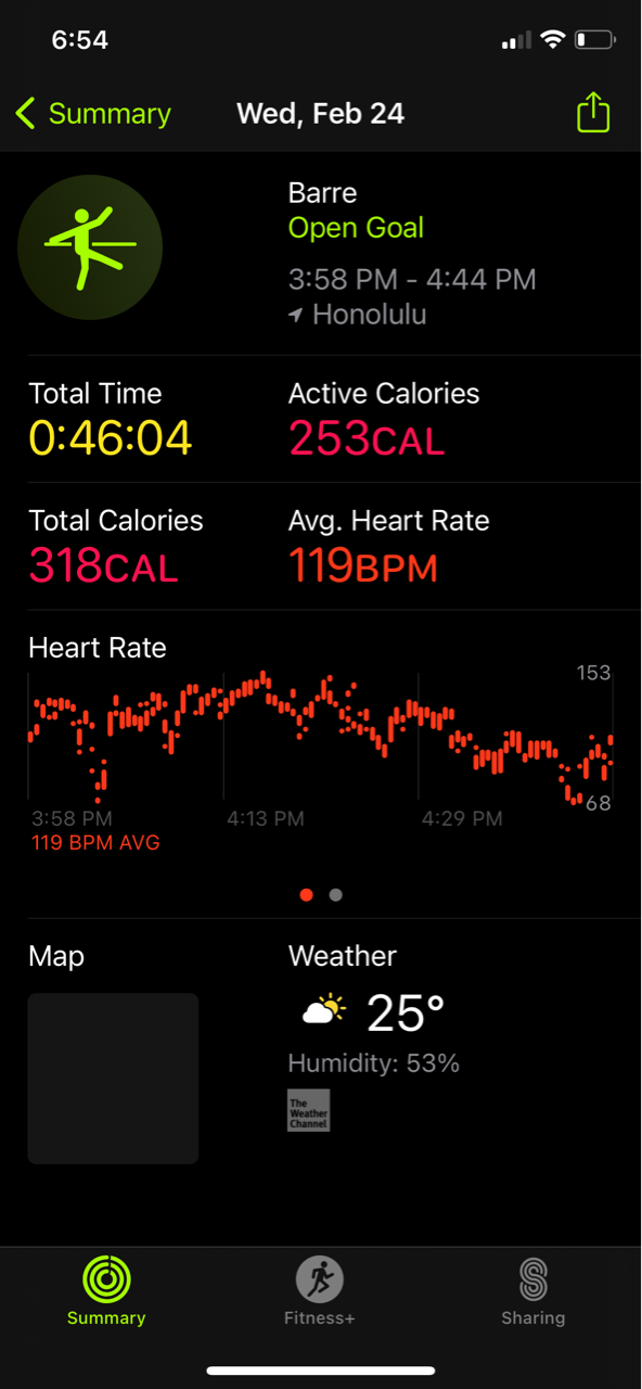ダイエット49日目 早朝にチーズケーキを食べた 1733kcal ハワイネコ ブログ