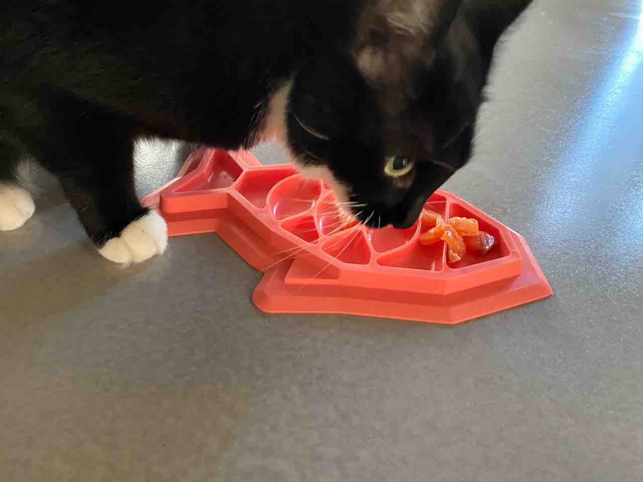 マグロのトロと サーモンで手巻き寿司ディナー ハワイネコ ブログ