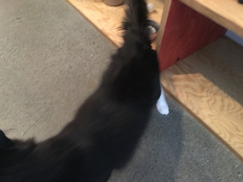 2016-08-20-09-35-36