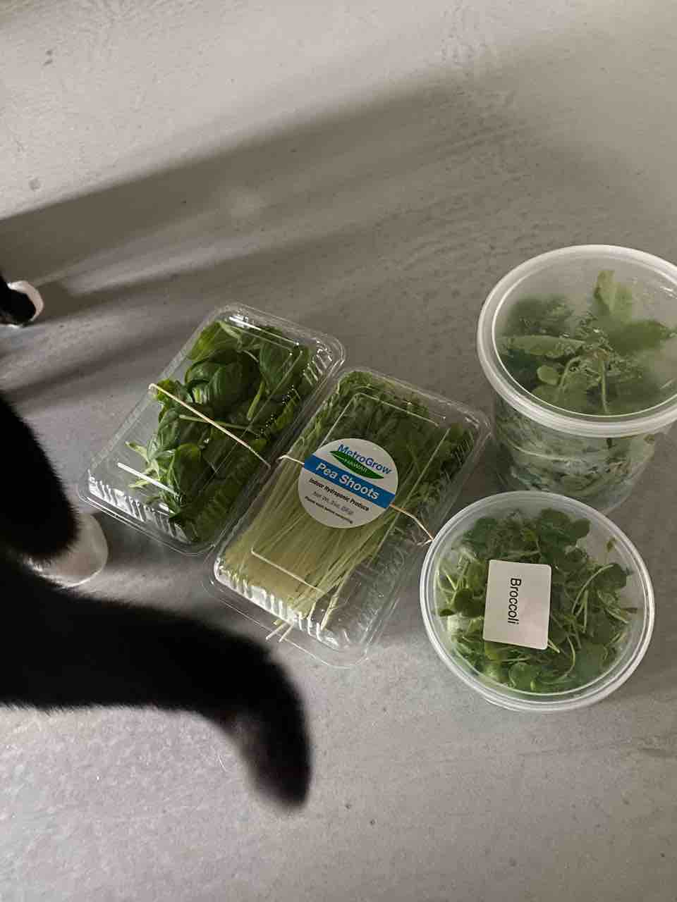 Metrogrow Hawaii カカアコに水耕栽培農場 ハワイグルメ ハワイネコ ブログ