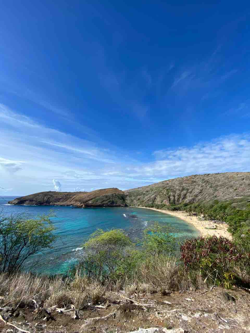 ハナウマ湾 シュノーケル定番スポット 予約制に注意 ハワイ オアフ島 ハワイネコ ブログ